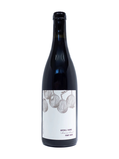 Anthill Farms Pinot Noir Anderson Valley 2022, morwine.com